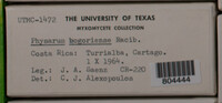 Image Associated With the Occurence